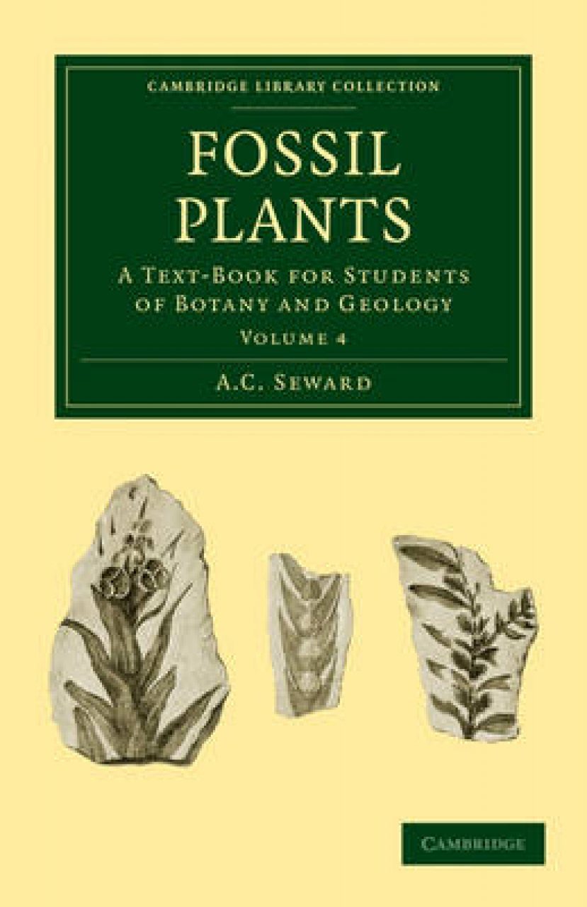 Plants текст. Fossil Plants. The student and the Botanist русский. Книга Плант примитивные технологии похожие. Tatwole and botanik.