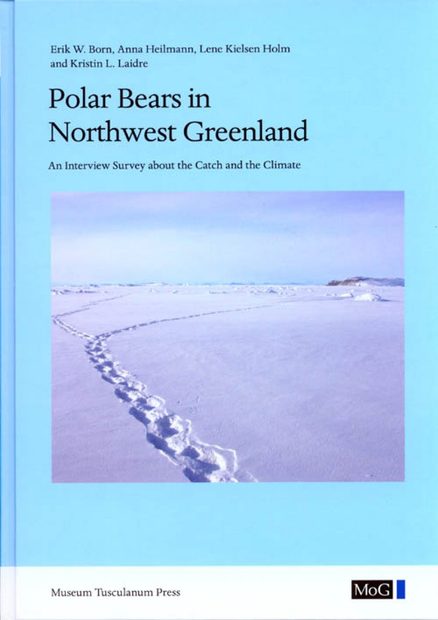 Polar Bears in Northwest Greenland