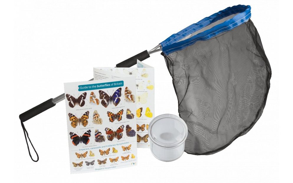 Starter Butterfly Kit