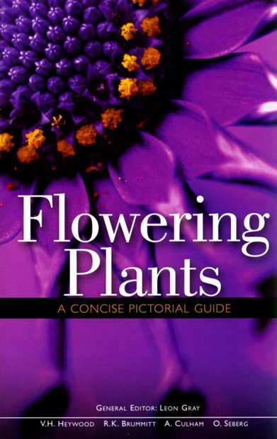 Flowering Plants