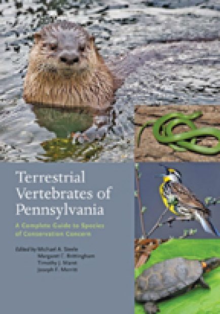 Terrestrial Vertebrates of Pennsylvania
