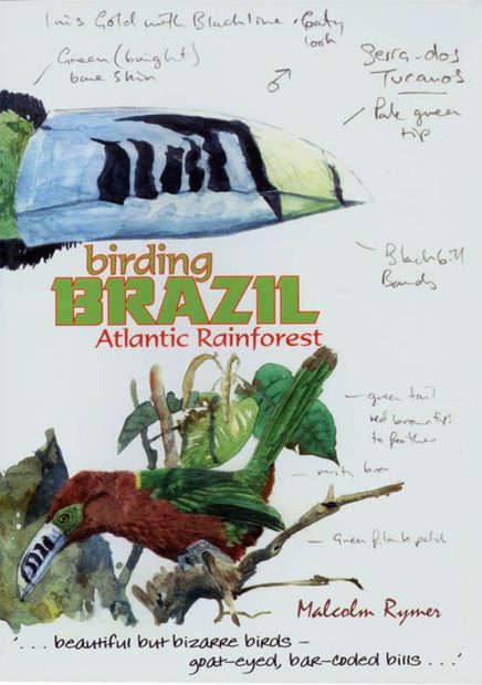 Birding Brazil (All Regions)