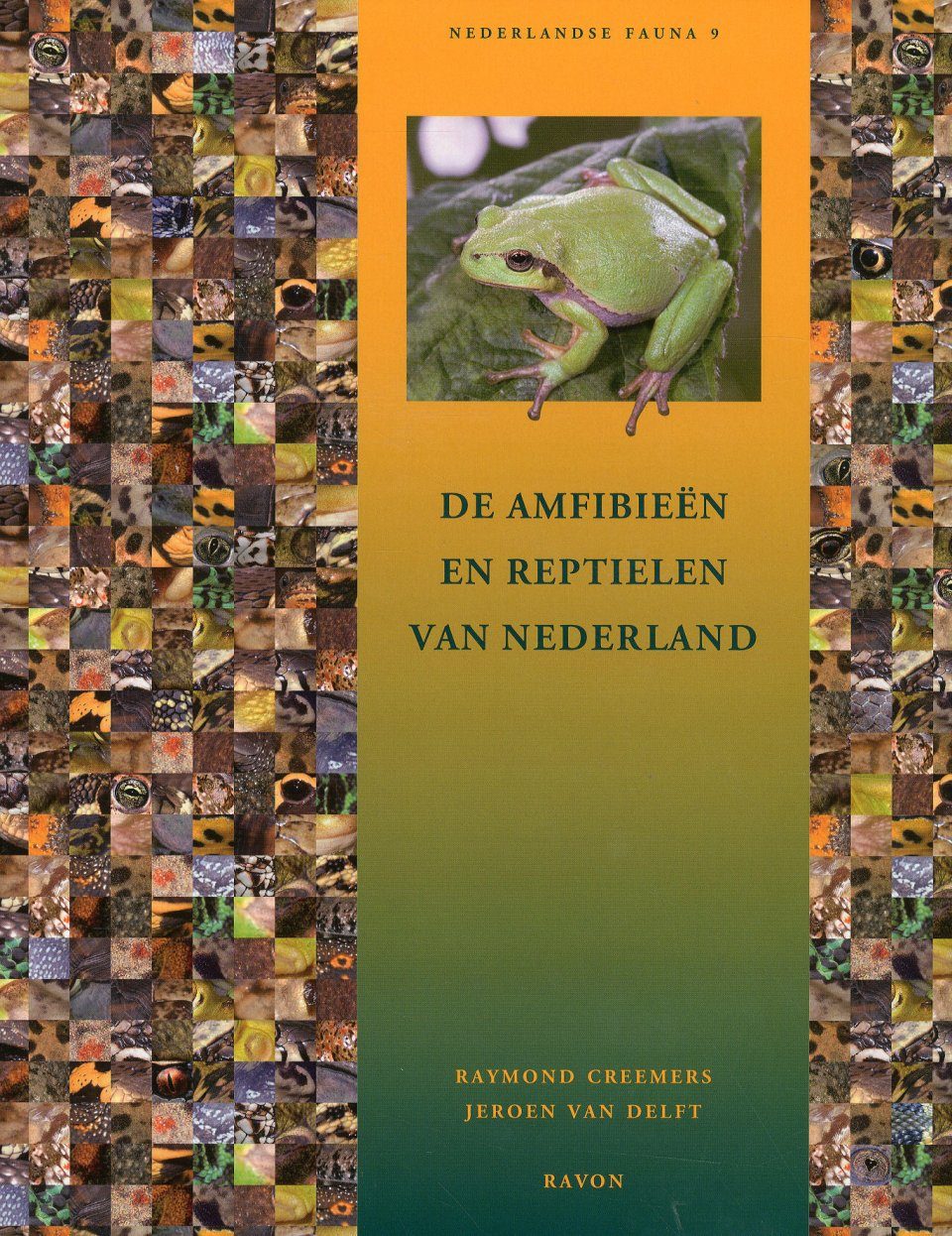 De Amfibieën en Reptielen van Nederland [Amphibians and of the Netherlands] | NHBS Academic Professional Books