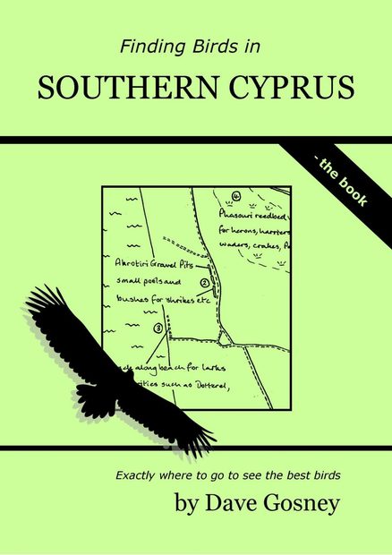 Finding Birds in Southern Cyprus
