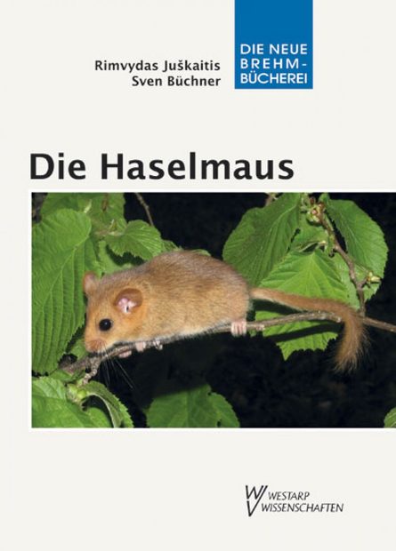 Die Haselmaus [The Dormouse]