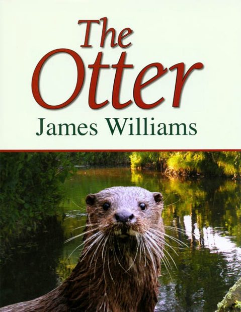 The Otter