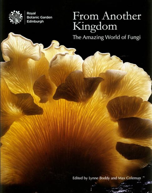 From Another Kingdom