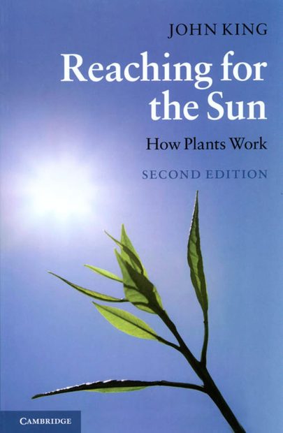 Reaching for the Sun