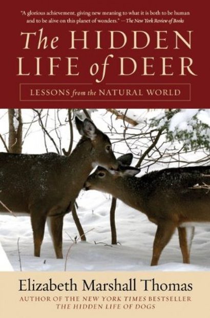 The Hidden Life of Deer
