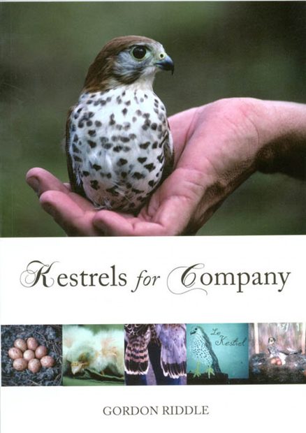 Kestrels for Company