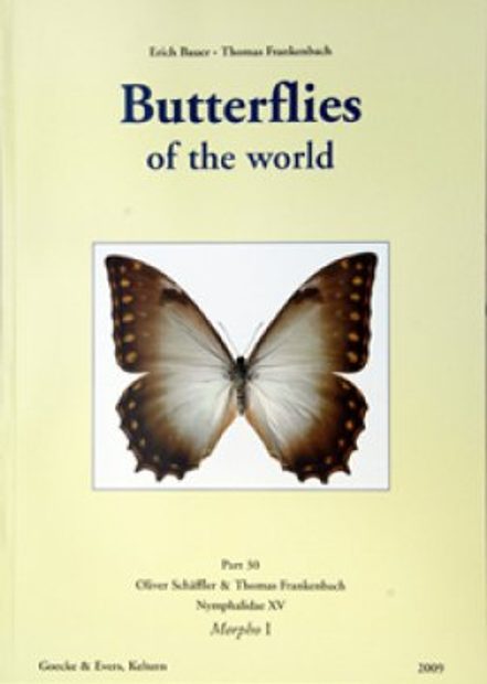 Butterflies of the World, Part 30: Nymphalidae XV. Morpho I. (Morpho niepelti and M. theseus)