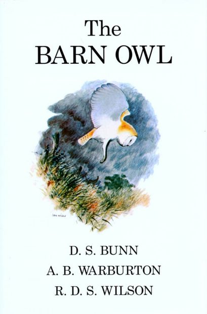 The Barn Owl