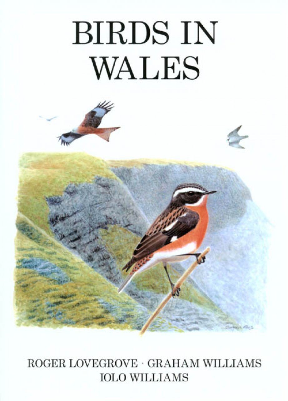 Birds In Wales Nhbs Academic Amp Professional Books