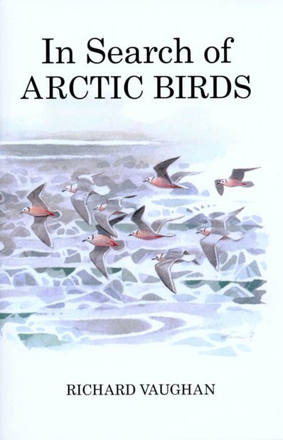 In Search of Arctic Birds