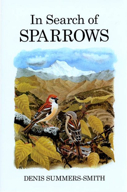 In Search of Sparrows