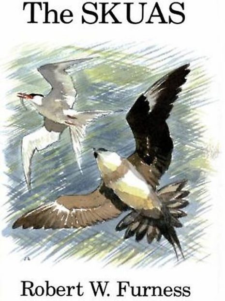 The Skuas