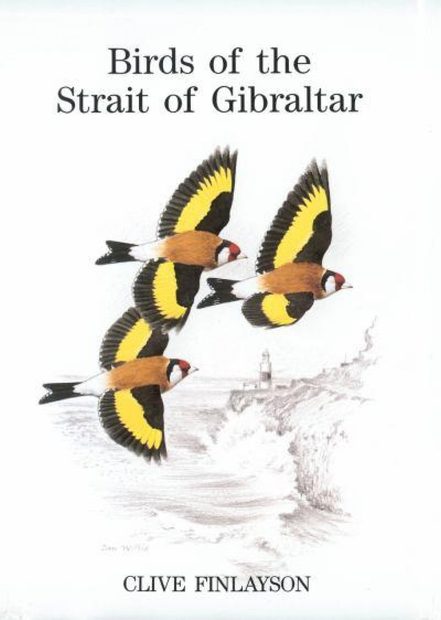 Birds of the Strait of Gibraltar