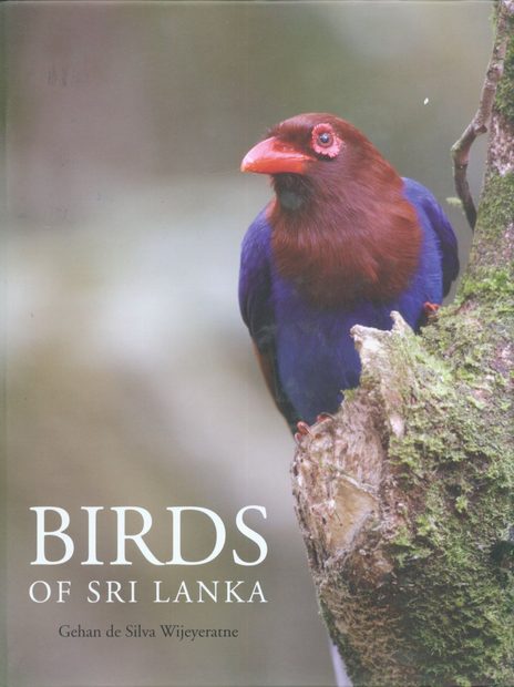 Birds of Sri Lanka
