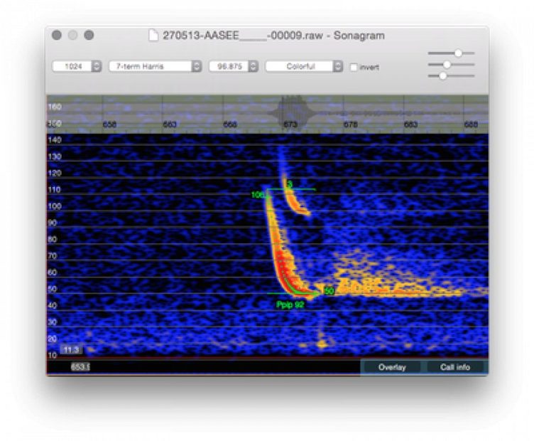 bcAnalyze 3.0 Pro Standalone