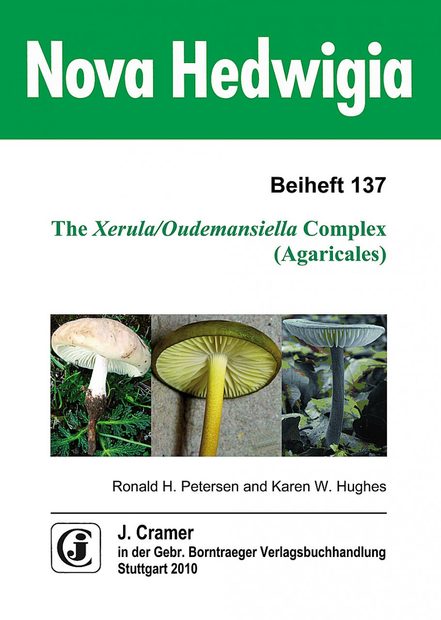 The Xerula/Oudemansiella Complex (Agaricales)
