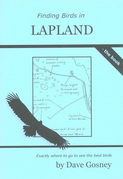 Finding Birds in Lapland