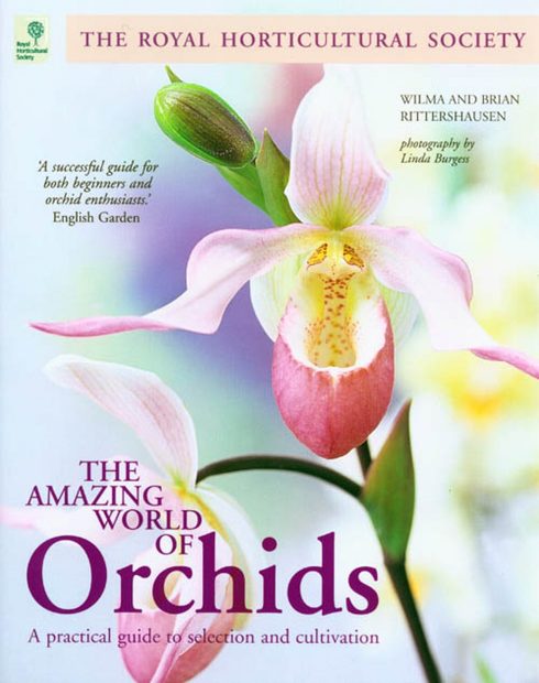 The Amazing World of Orchids