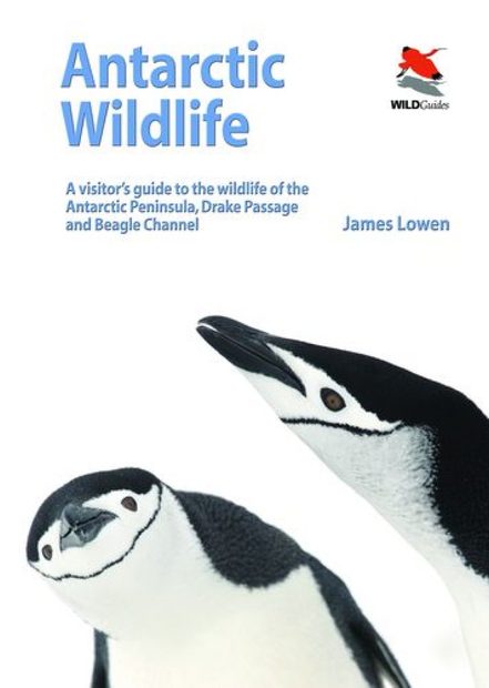 Antarctic Wildlife
