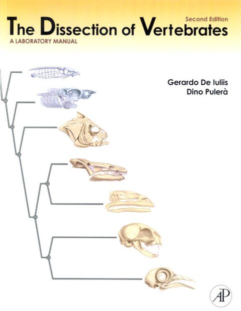 The Dissection of Vertebrates