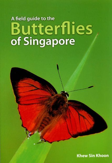 A Field Guide to the Butterflies of Singapore