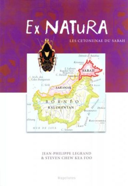 Les Cetoniinae du Sabah