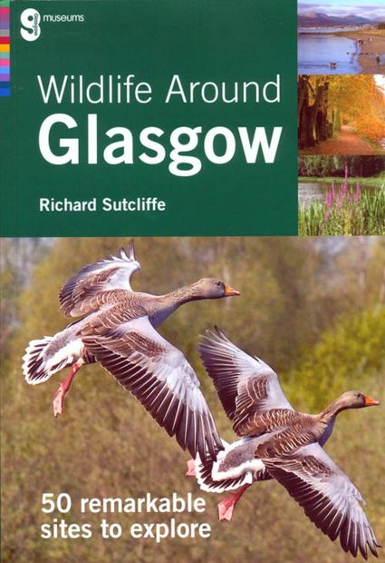 wildlife tours glasgow