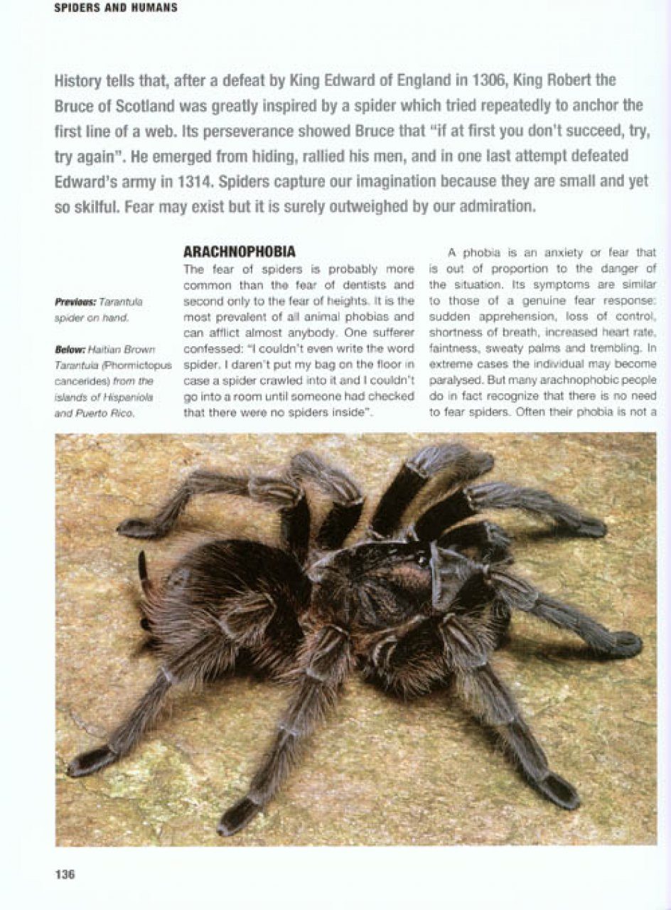 The Private Life of Spiders | NHBS Academic & Professional ...
