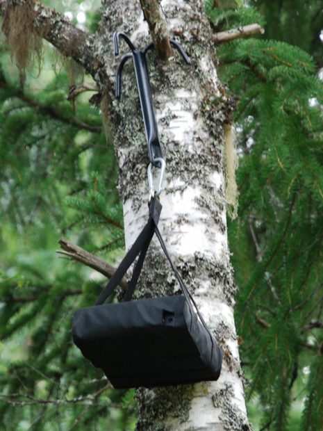 Pettersson D500X Protective Case