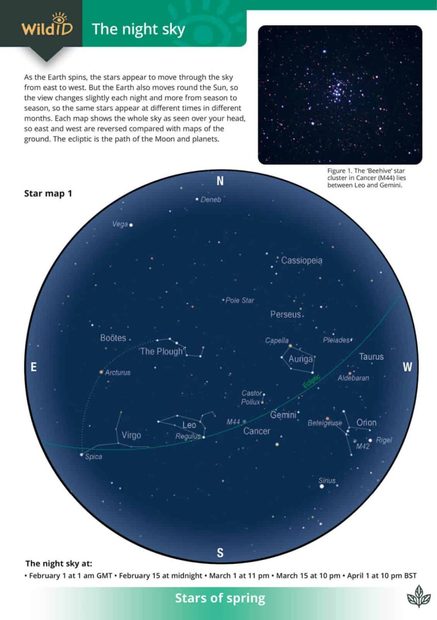 Guide to the Night Sky