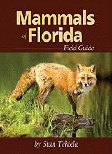 Mammals of Florida Field Guide | NHBS Field Guides & Natural History