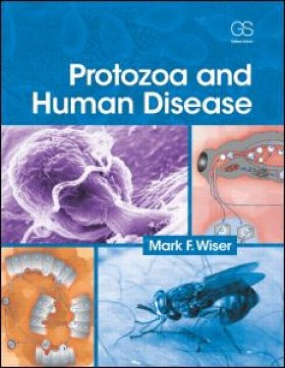 Protozoa and Human Disease | NHBS Academic & Professional Books