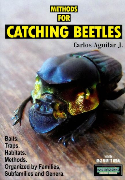 Methods for Catching Beetles