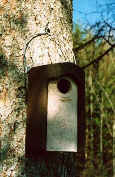 3S Schwegler Starling Nest Box