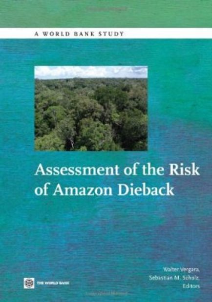 Assessment of the Risk of Amazon Dieback