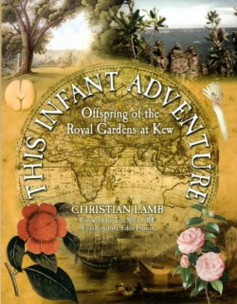 This Infant Adventure