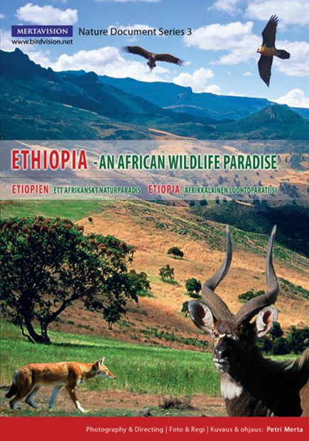 Ethiopia (All Regions)