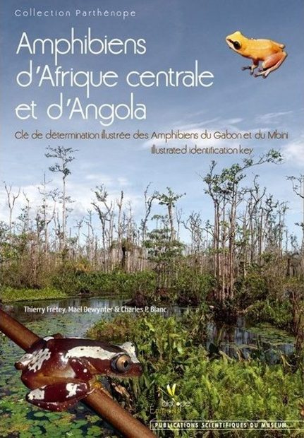Amphibiens d'Afrique Centrale et d'Angola [Amphibians of Central Africa and Angola]