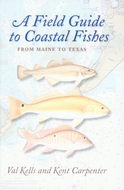 A Field Guide to Coastal Fishes: From Maine to Texas
