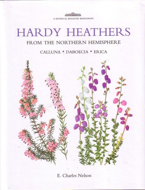 Hardy Heathers from the Northern Hemisphere