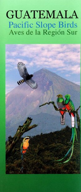 Guatemala: Pacific Slope Birds / Aves de la Región Sur [English]