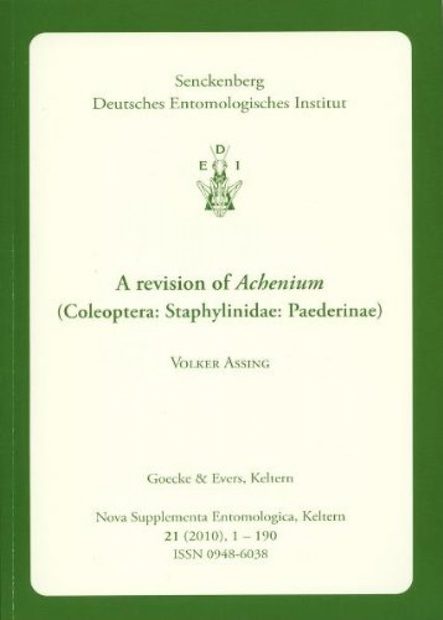 A Revision of Achenium (Coleoptera: Staphylinidae: Paederinae)