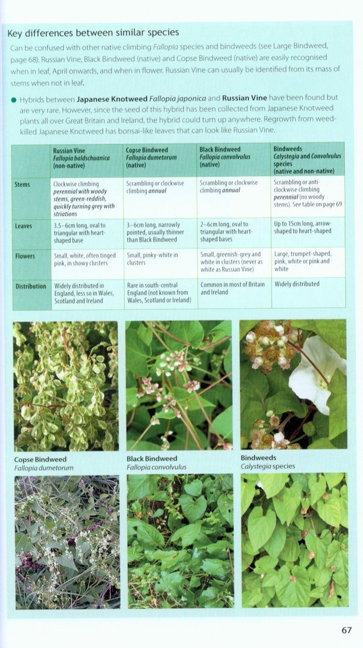 Field Guide to Invasive Plants & Animals in Britain | NHBS Field Guides &  Natural History