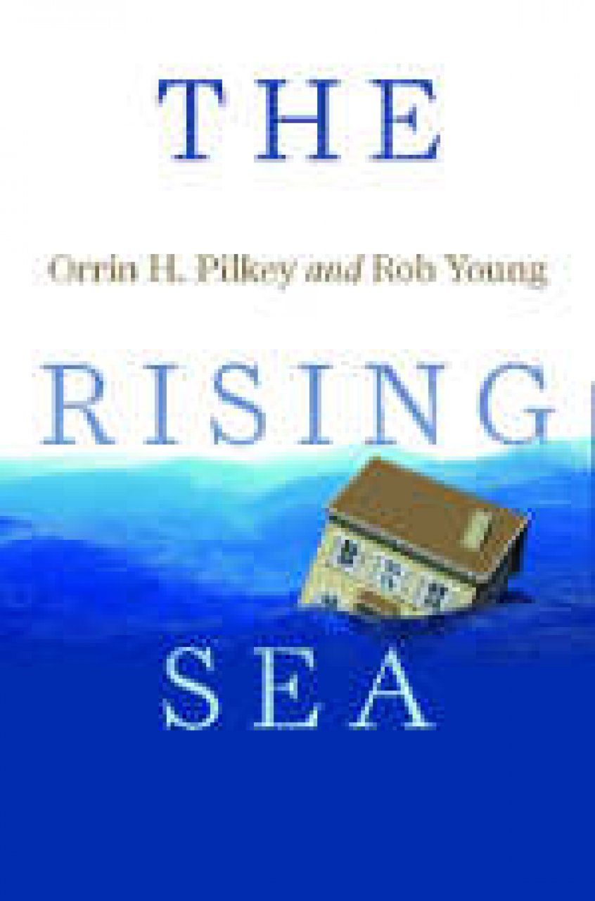 The Rising Sea | NHBS Academic & Professional Books