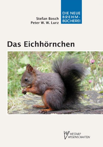 Das Eichhörnchen [The Squirrel]