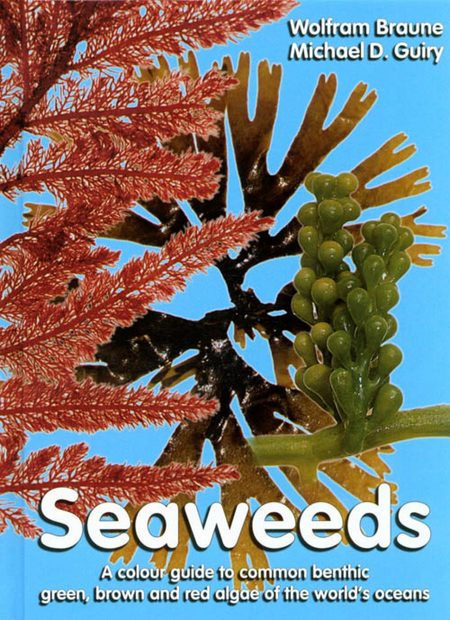 Seaweeds